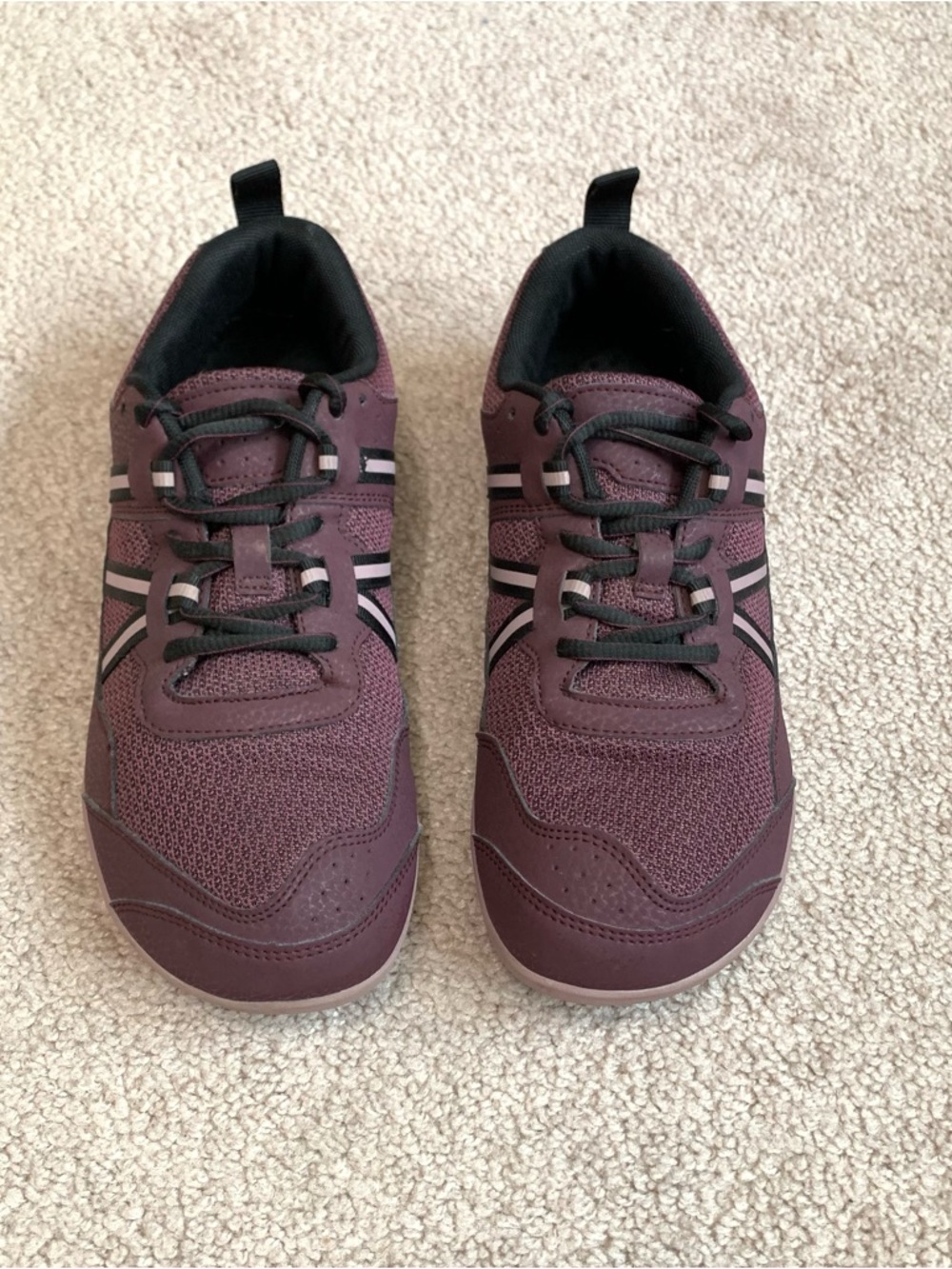 Xero Shoes Prio Womens 8 Fig/Elderbery Barefoot Lightweight Running Workout Shoe